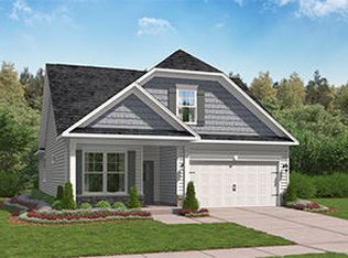 229 Chapin Place Way, Chapin, SC 29036