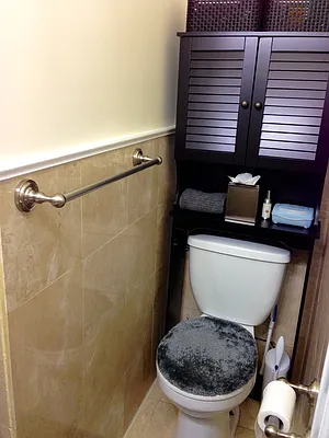 Rented by Owner | media 19