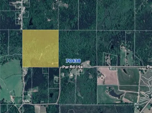 29433 Roscoe Dillon Rd, Franklinton, LA 70438