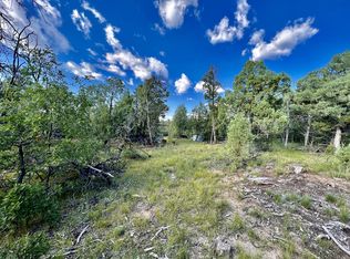 1218 San Jose Trl, La Jara, NM 87027