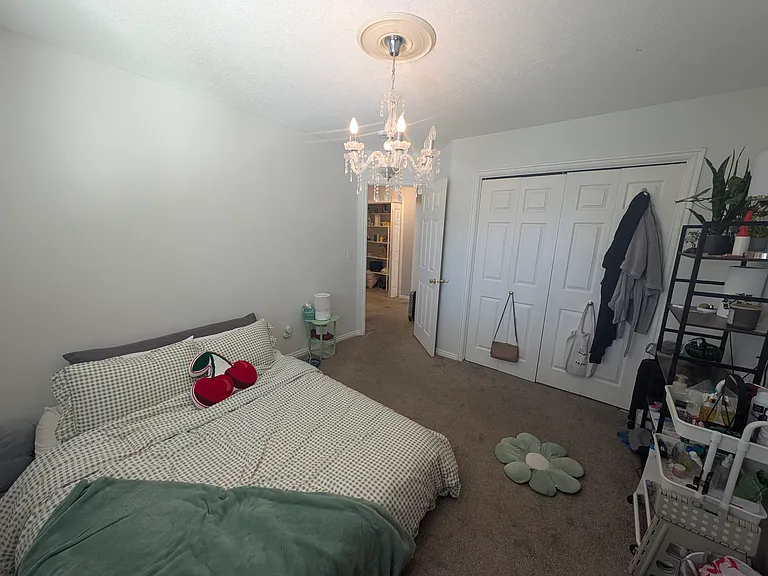 1171 W 950 N — Photo 19