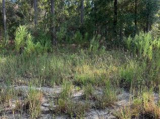 103 Lee Dr, Hawthorne, FL 32640