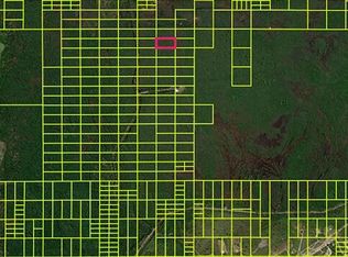 11120020 Holopaw Groves Rd, Saint Cloud, FL 34771