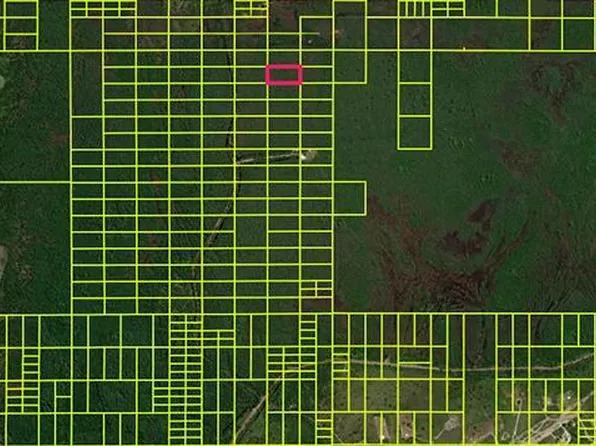 11120020 Holopaw Groves Rd, Saint Cloud, FL 34771