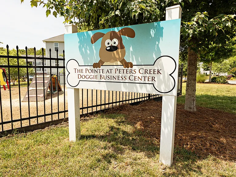 The Pointe at Peters Creek — Photo 6