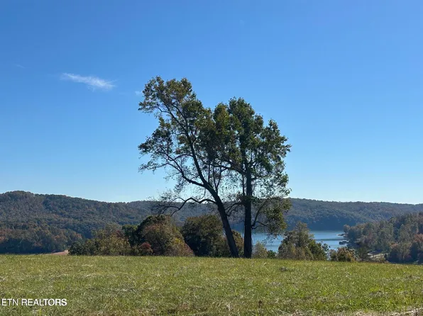 LOT 41 Deer Trl, La Follette, TN 37766