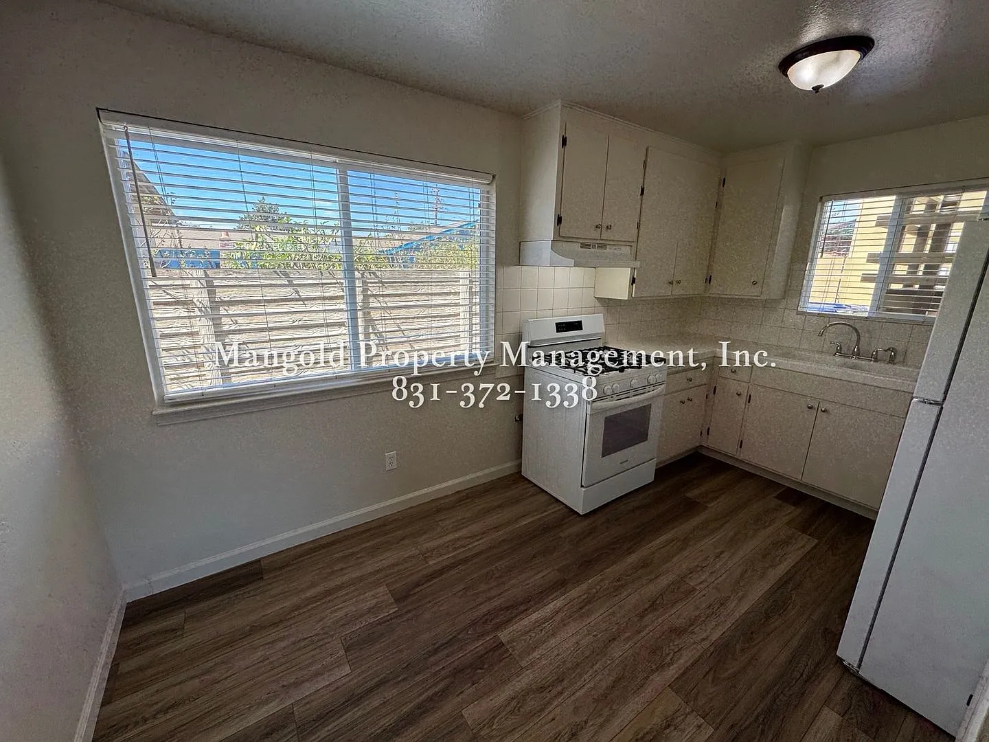 255four — Photo 3