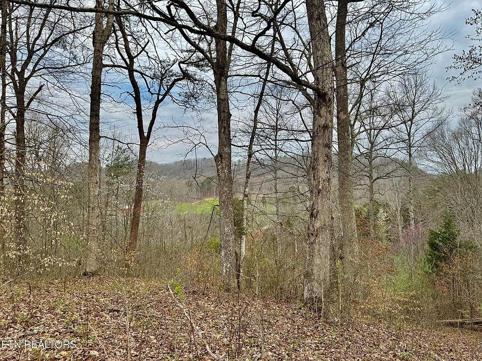 2nd image of 0 Overlook Ln