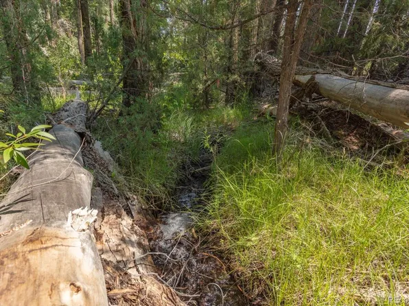 7922 Cozart Lane, Salida, CO 81201