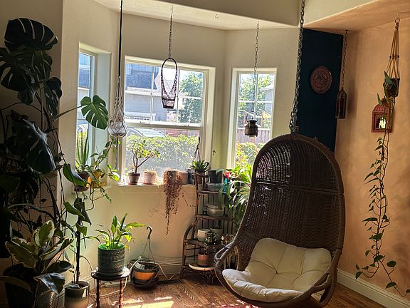 Bay window with a rose bush outside