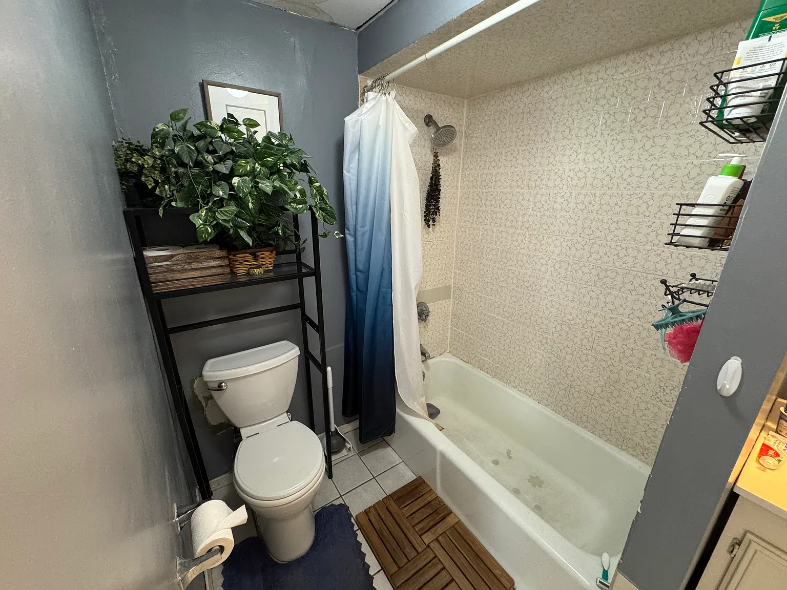 2 bed, 9999 sqft, $3,300 — Photo 4