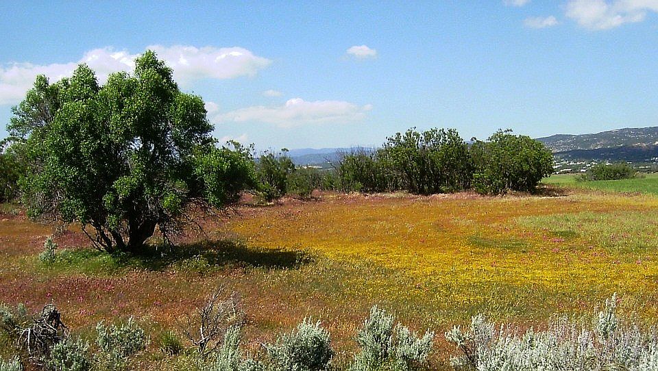 1st image of 0 Sweetbush Ln