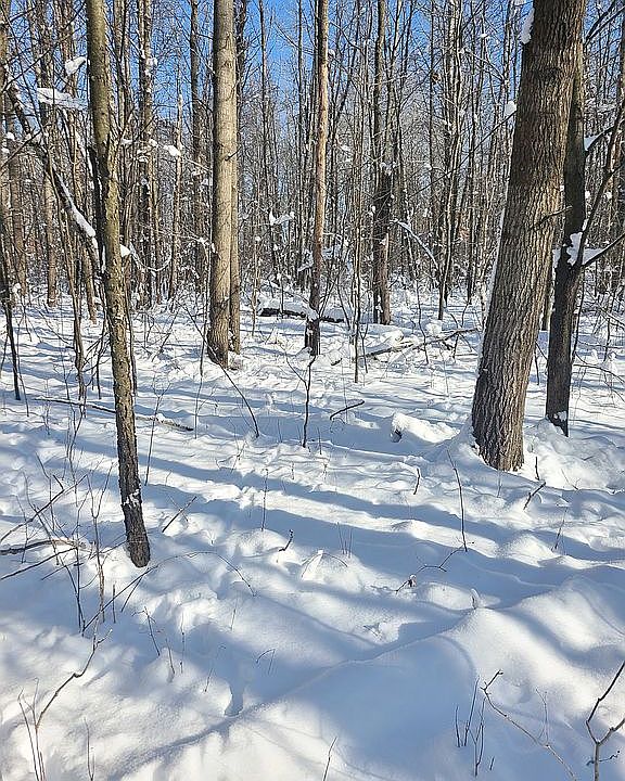 2nd image of 23121-13 Mile Rd