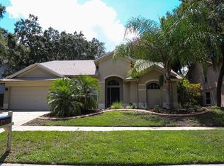 2325 Needham Dr, Valrico, FL 33596