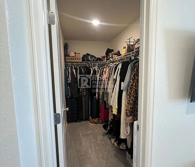 14221 Alpine Lily Ln — Photo 12