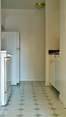 Rented by Manhattan Apartment Organization | media 251