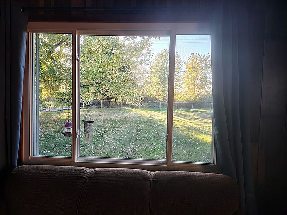 View out backroom window