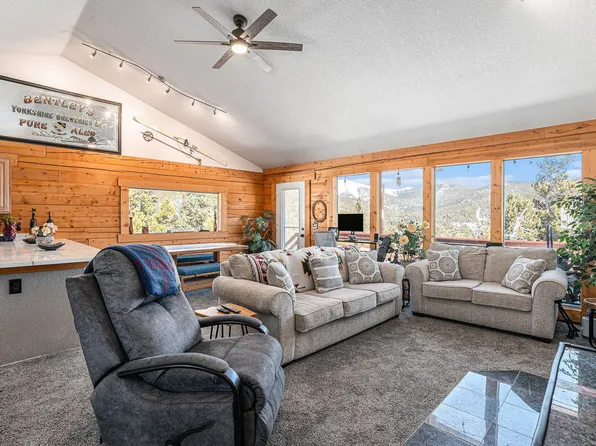 1353 Alice Rd #Id1391270p, Idaho Springs, CO 80452