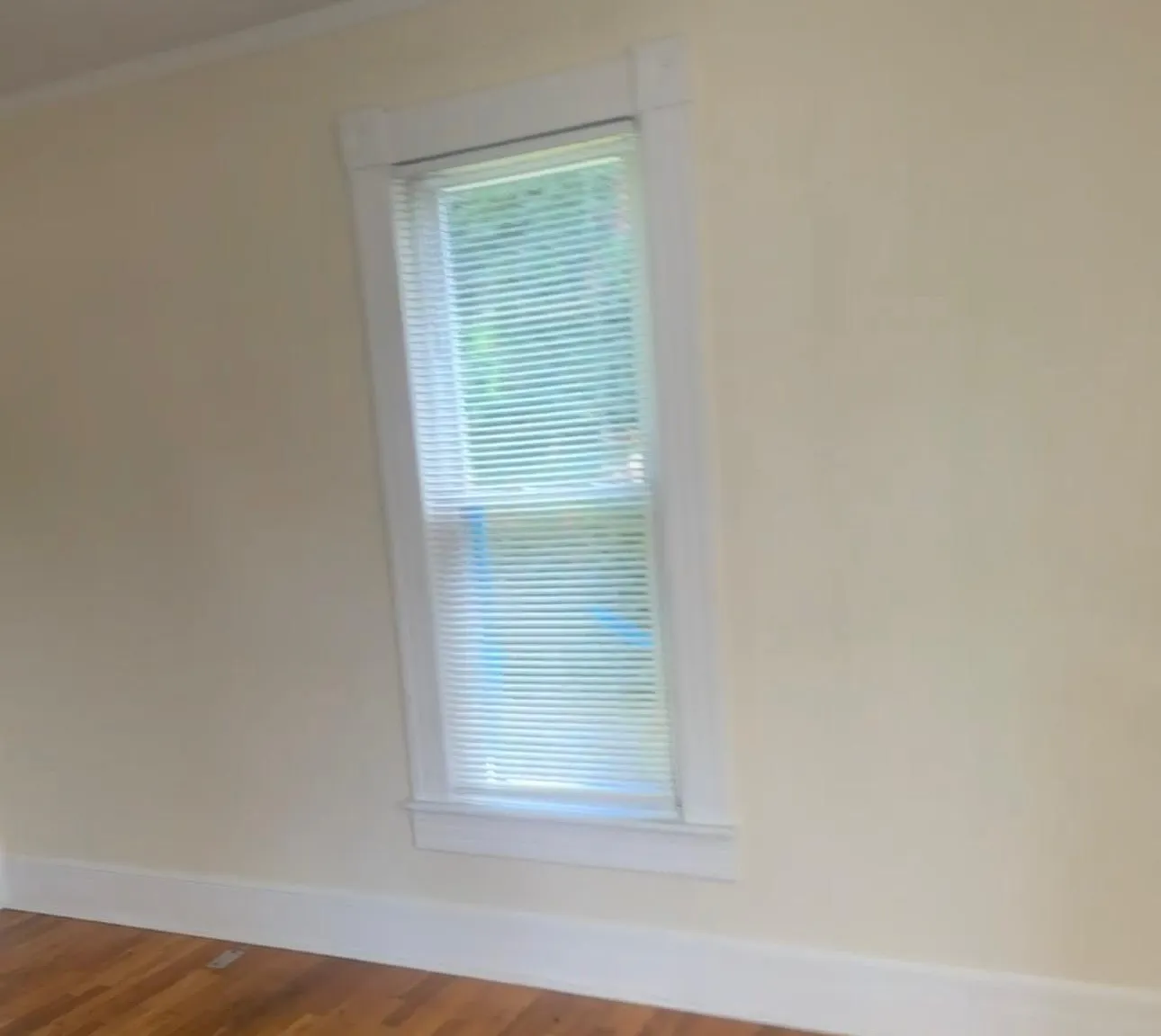 2 bed, 910 sqft, $1,350 — Photo 2