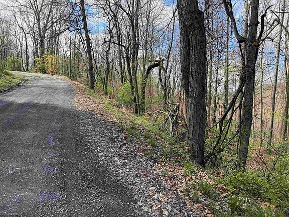 2nd image of Behlar Rd