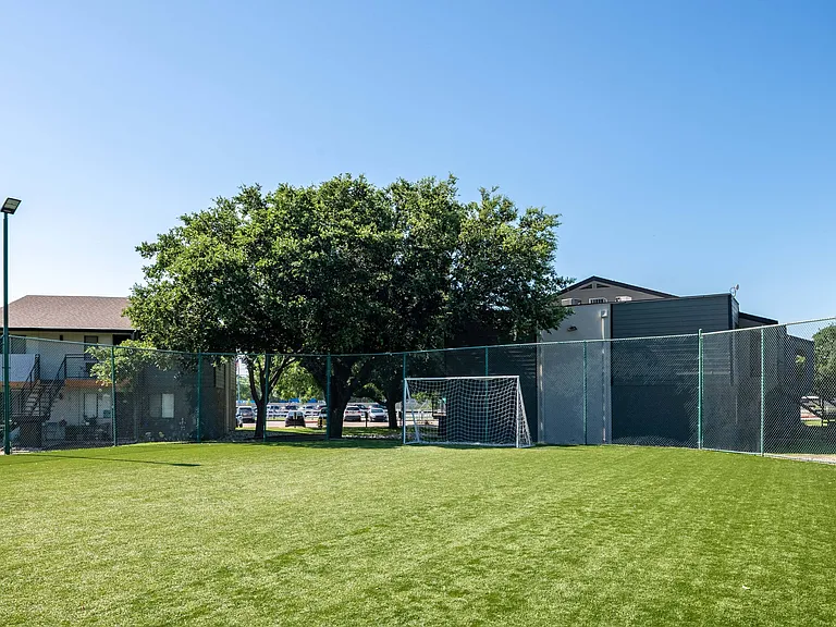 Soccer Field