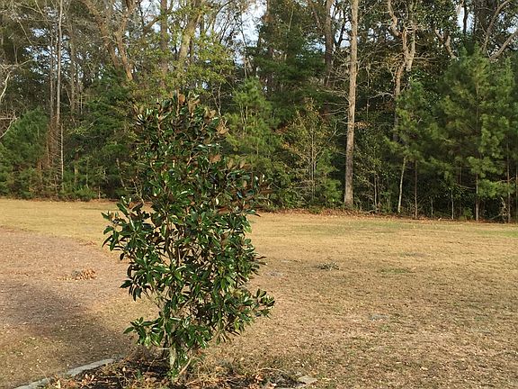 Park Area behind home