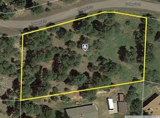 32132 Lodgepole Dr, Evergreen, CO 80439