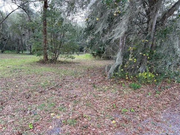 336 Turner Rd, Pierson, FL 32180