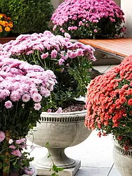 Sold by Sotheby's International Realty