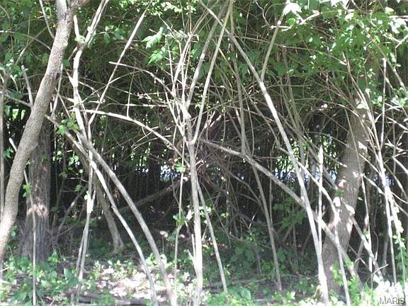4th image of 182 Whitetail Crossing Trl