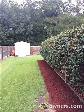 back yard (thru fence entrance)