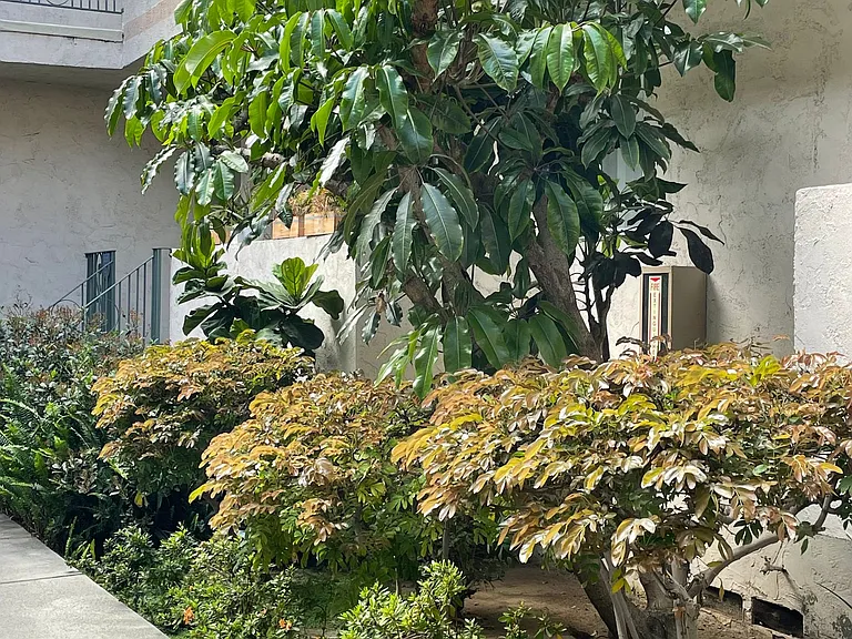 Luxury Living At An Affordable Price — Photo 3