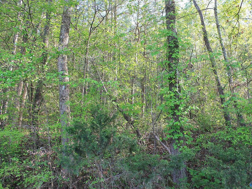 2nd image of 6.65 W Lacon Rd