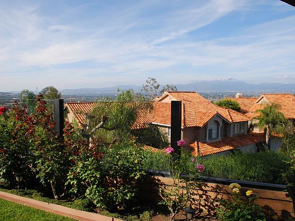 View from rear patio