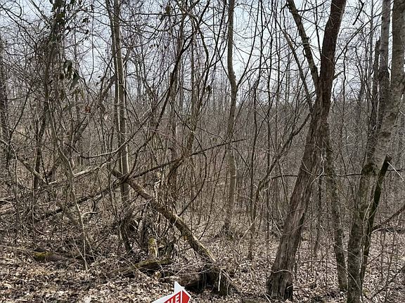 5th image of 0 Malone Ridge Rd