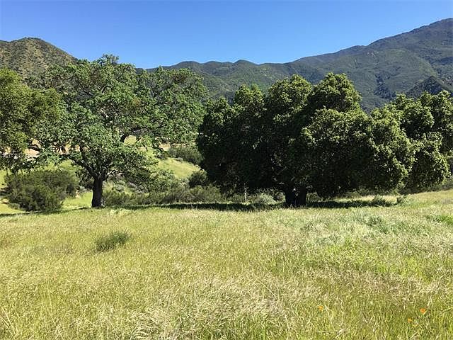 1st image of 30040 Olivia Dr