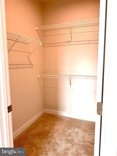 66 Glory Maple Ln — Photo 19