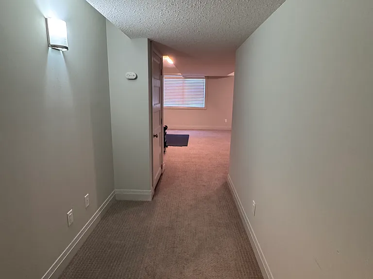 Basement with extra storage closet
