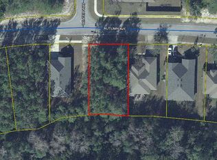 36 Autumn Ave, Freeport, FL 32439