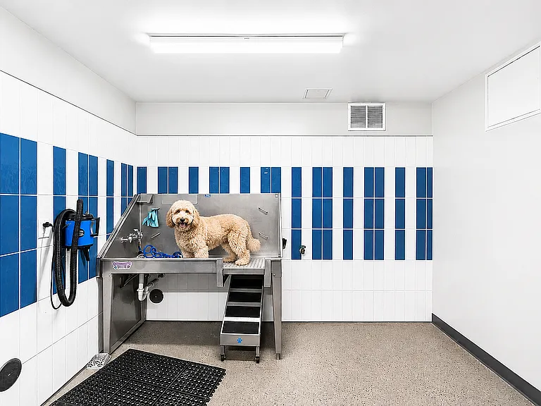 Pet Spa