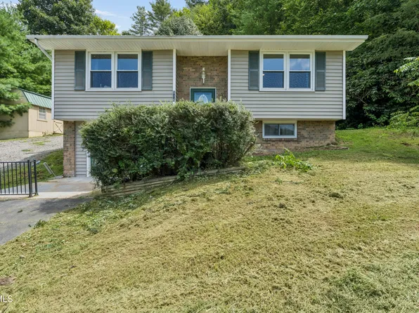 506 Chestnut Dr, Mountain City, TN 37683