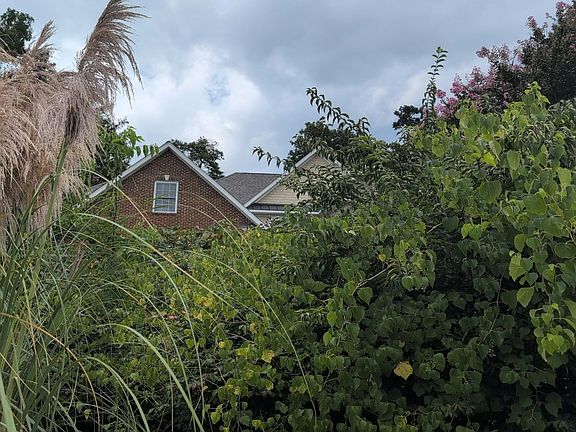 3rd image of 2006 Shady Hollow Ln