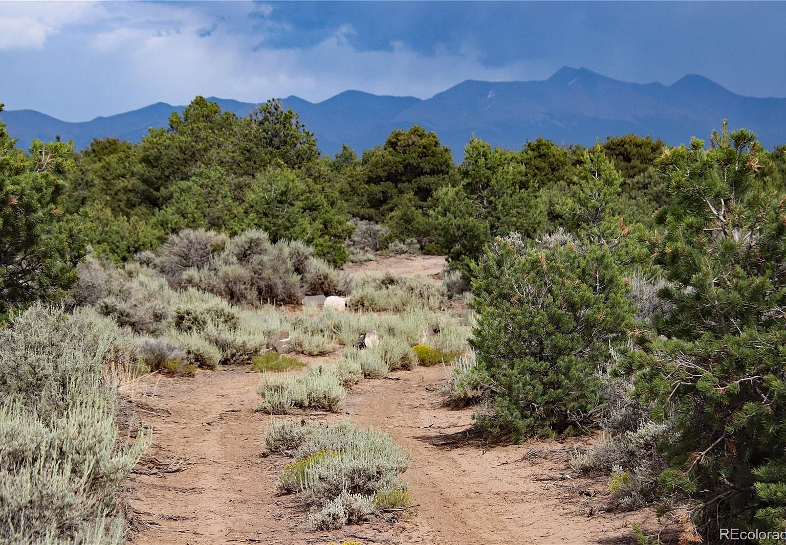 Lot 24 North Melby Ranch Road, San Luis, CO 81152 Zillow