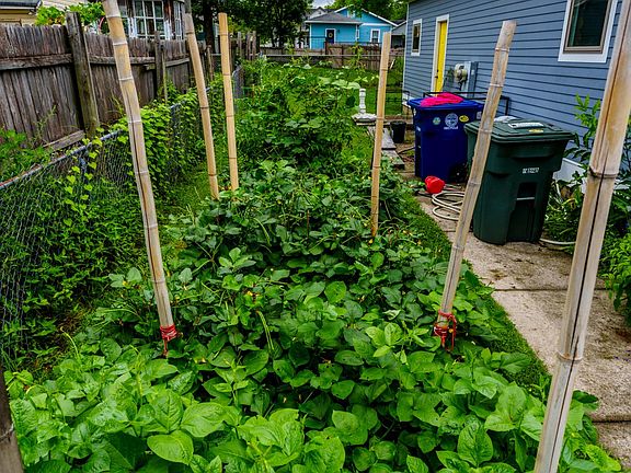 Four 4x8 raised beds with excellent composted soil available for organic gardening .