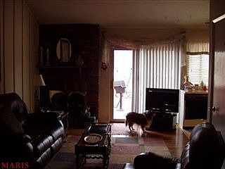 4th image of 1775 Woodstream Dr
