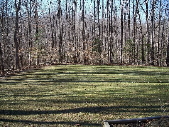 Large back yard with tree views