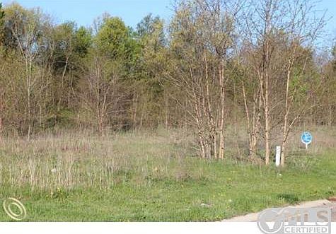 Kingston Pointe 005.JPG