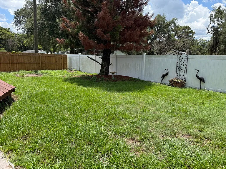 2959 Arcata Ln — Photo 4