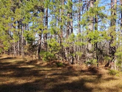 0 Fortville Rd, Haddock, GA, 31033