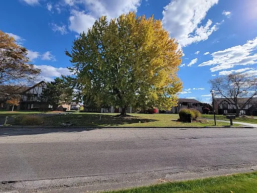 Building Photo - 876 Pearson Cir #3